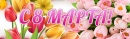 С ПРАЗДНИКОМ 8 МАРТА! С ПРАЗДНИКОМ 8 МАРТА!